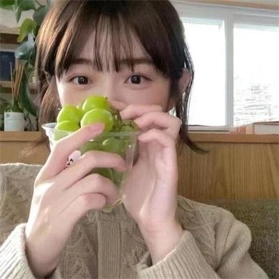 加菲猫的幸福生活第三季