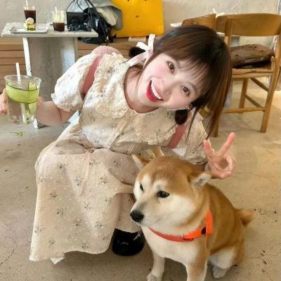 真情不眠